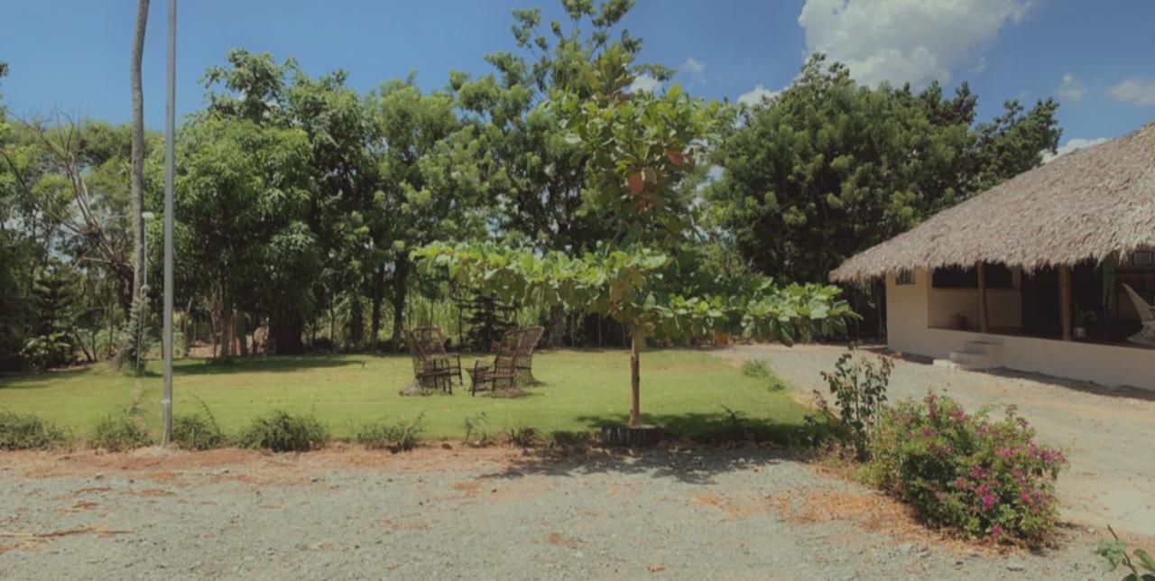 קונספסיון דה לה וגה Hotel Anedi מראה חיצוני תמונה