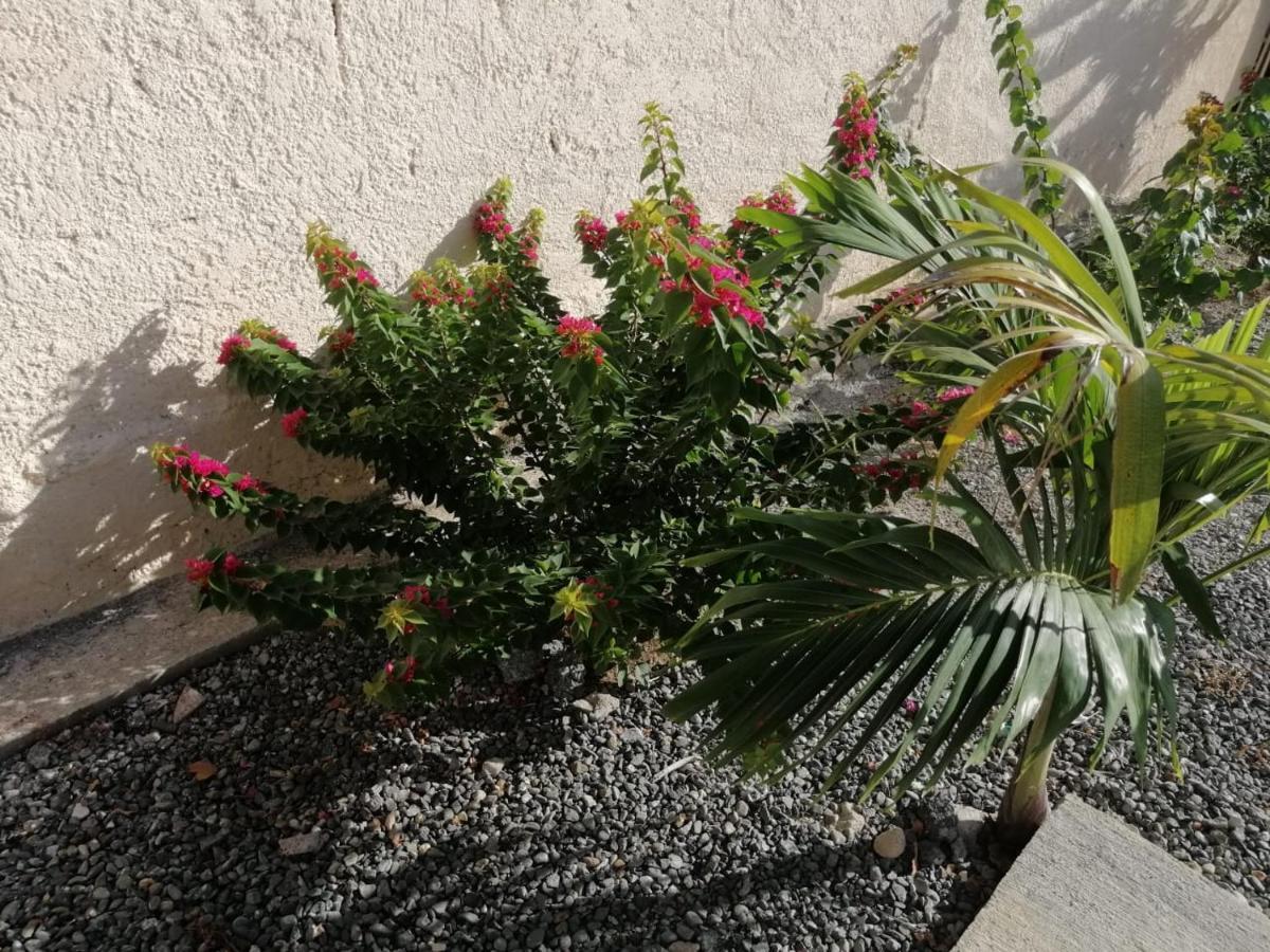 קונספסיון דה לה וגה Hotel Anedi מראה חיצוני תמונה